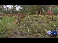 Homeowner says Spectrum Cable abused its power