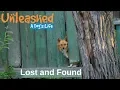 Lost and Found How to Find Your Lost Pet Unleashed