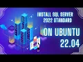 SQL 2022 - How to Install SQL Server 2022 Standard on Ubuntu 22 04 Step-by-Step Guide