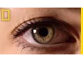 Download Lagu Eyes: The Windows to Your Health | National Geographic