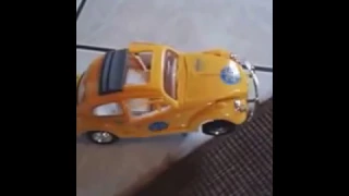 Yellow dancing Bug