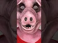 IM PEPPA PIG 🐷🐽