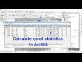 How to calculate zonal statistics in ArcGIS