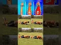 Lagu https://vt.tiktok.com/ZSDtsDVqW/