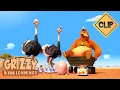 🐣 Fake baby ostriches 🐻🐹 Grizzy \u0026 the Lemmings / Cartoon