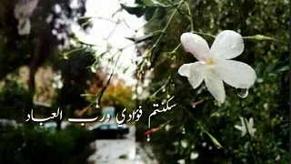 سكنتم فؤادي ورب العباد    دندنها