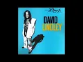 David Lindley   Tu-Ber-Cu-Lucas and the Sinus Blues with Lyrics in Description