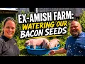 From Concrete to Grass on the EX Amish Farm - ep 5