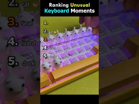 Ranking Funny Unusual Keyboard Moments #keyboard