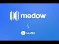 Medow x Elixir Demo