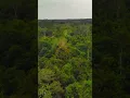 Lagu Amazon rainforest, Peru #peru #travel #amazon #rainforest #earthday #jungle #nature # #drone