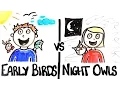 Download Early Birds vs Night Owls mp4 3gp mp3 videos - waplic