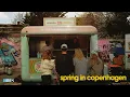Spring at DIS Copenhagen