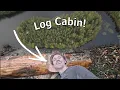 Download Lagu First Logs for Our Log Cabin! | Building a Log Cabin On Our Island Ep.6