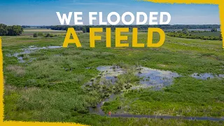 We flooded a field - the results blew our minds