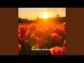 Download Lagu Gineras Institute of Astral Studies