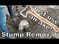 Stump Removal by Brute Force - Just an Axe and a Shovel
