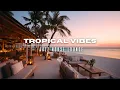 Download Lagu Tropical Jazz House Vibes 2025 🌴 | Smooth Sax \u0026 Deep Chill Lounge Mix