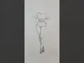 Ranma Dibujo de su version femenina