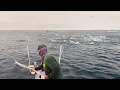 Download Lagu Sudah masuk maghrib. Ikan cakalangnya tambah gacor