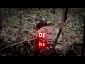 Download Lagu Dj masa kita kecil nakal macam orang utan (bunga ibu)