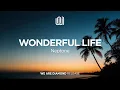 Download Lagu Neptone - Wonderful Life