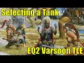Selecting a Tank in EQ2 Varsoon