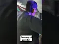 Download Lagu seminggu di perjudian gacorrr