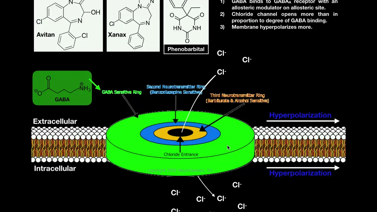 The Mechanism of Benzodiazepines | The GABA Receptor and Allosteric Modulation