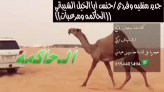 منقيه وفردي حنس ابا الخيل الشيباني الحاكمه ومرعباات كلمات سلطان الازلع اداء نياف تركي 