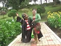 Sukur feat Anisandia MARLENA