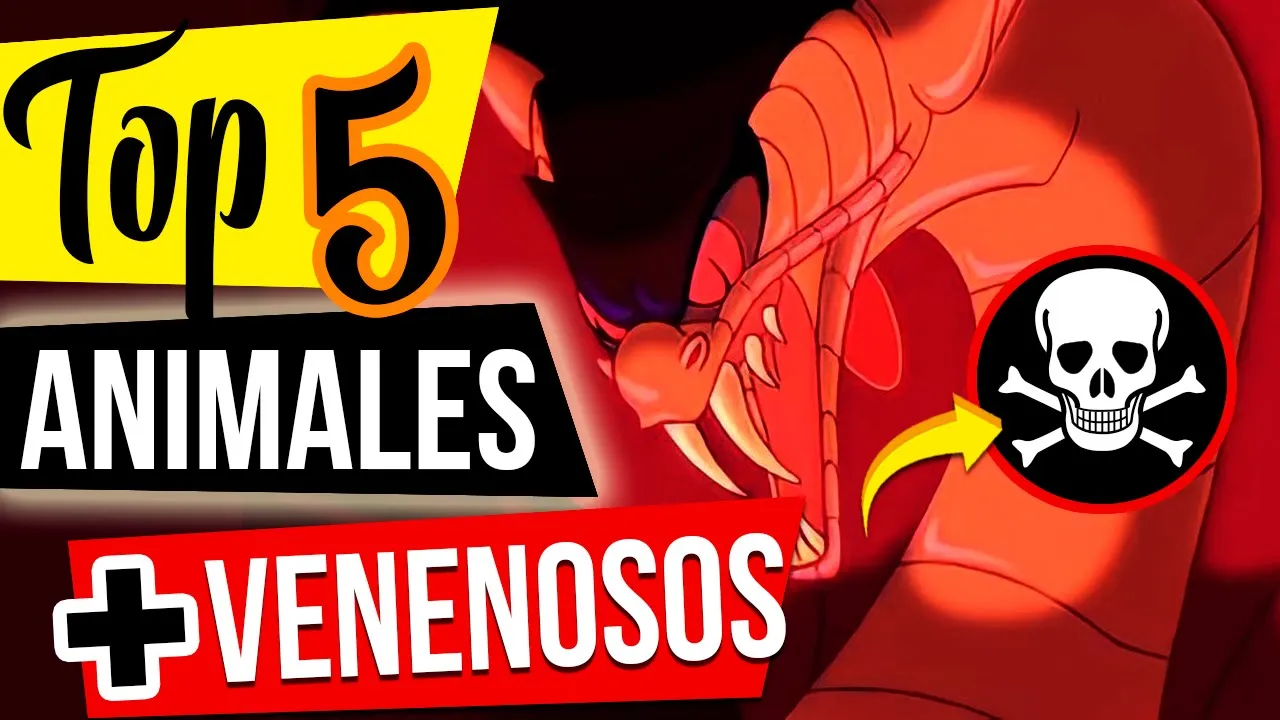 Los 5 ANIMALES más VENENOSOS del MUNDO