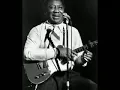 Muddy Waters - I Can't Be Satisfied - Acoustic Blues