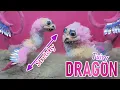 Making A Fairy Dragon Creature Poseable Resin Art Doll Tutorial