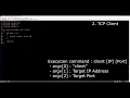 Network Winsock Network Programming using TCP Echo Server