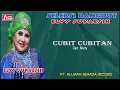Download Lagu ELVY SUKAESIH - CUBIT CUBITAN ( Official Musik ) HD
