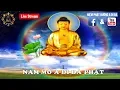 Download Lagu 8. NIỆM PHẬT 6 CHỮ - NAM MÔ A DI ĐÀ PHẬT 1080 BIẾN | TT. Thích Trí Thoát.