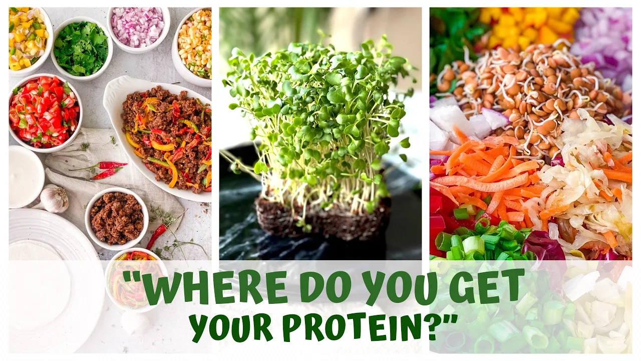 "WHERE DO YOU GET YOUR PROTEIN"?  RAW FOOD VEGAN