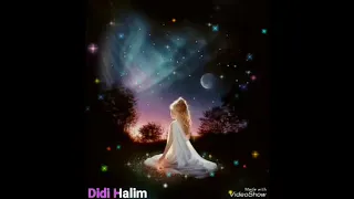 حبيته سنين طوال    نوال الزغبي    دندنها