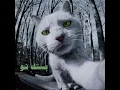 hahyn - Bestek now (Feat. SAMER) - شاهين و سامر - بستك نو  WebM 720