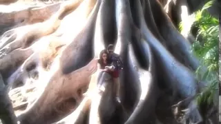 Khurshide Man Kojaee By Najwa خورشید من کجایی نجوا Pure Designs Music Elyar Sohill  Khurshide Man Kojaee By Najwa خورشید من کجایی نجوا Pure Designs Music Elyar Sohill
