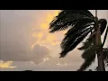 Hawaii Hurricane Update Lala August 2026 Maui