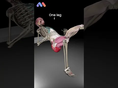 Single-leg Hip Thrust