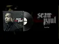 Sean Paul - Give It Up To Me (Vinyl Visualizer)