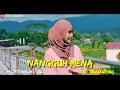 Download Lagu Lagu Lampung Nangguh Mena | Cipt. Halim/Zul | Voc. Rina Maryani