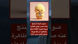 لغز البط الصوت الذي لا يردد الصدى 