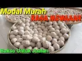 Download Lagu RESEP  BAKSO MURAH RASA MEWAH!!  Bakso untuk jualan.