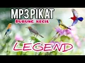 Download Lagu MP3 PIKAT BURUNG KECIL LEGEND INI MASIH AMPUH SAMPAI SEKARANG 