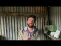 The making of 'A Rewilding Britain Landscape' soundscape at RHS Chelsea Flower Show