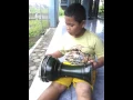 Kaisar marawisan
